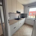 Przy Palmiarni * Walbrzych