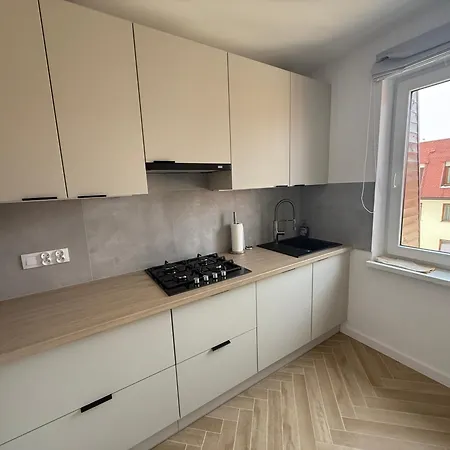 Przy Palmiarni Apartment