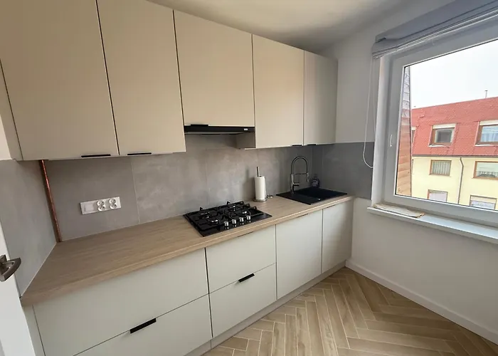 Przy Palmiarni Apartment