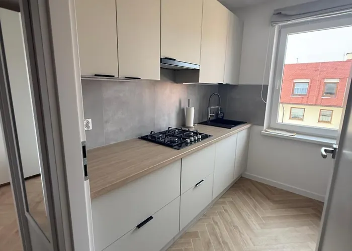 Przy Palmiarni * Walbrzych