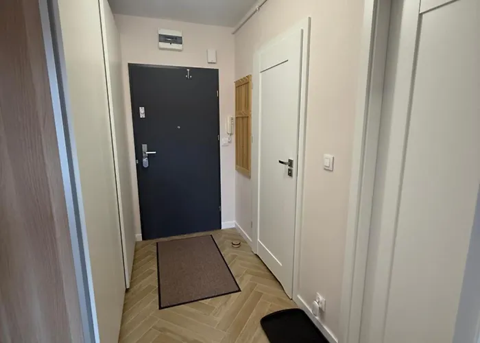 Przy Palmiarni Apartament